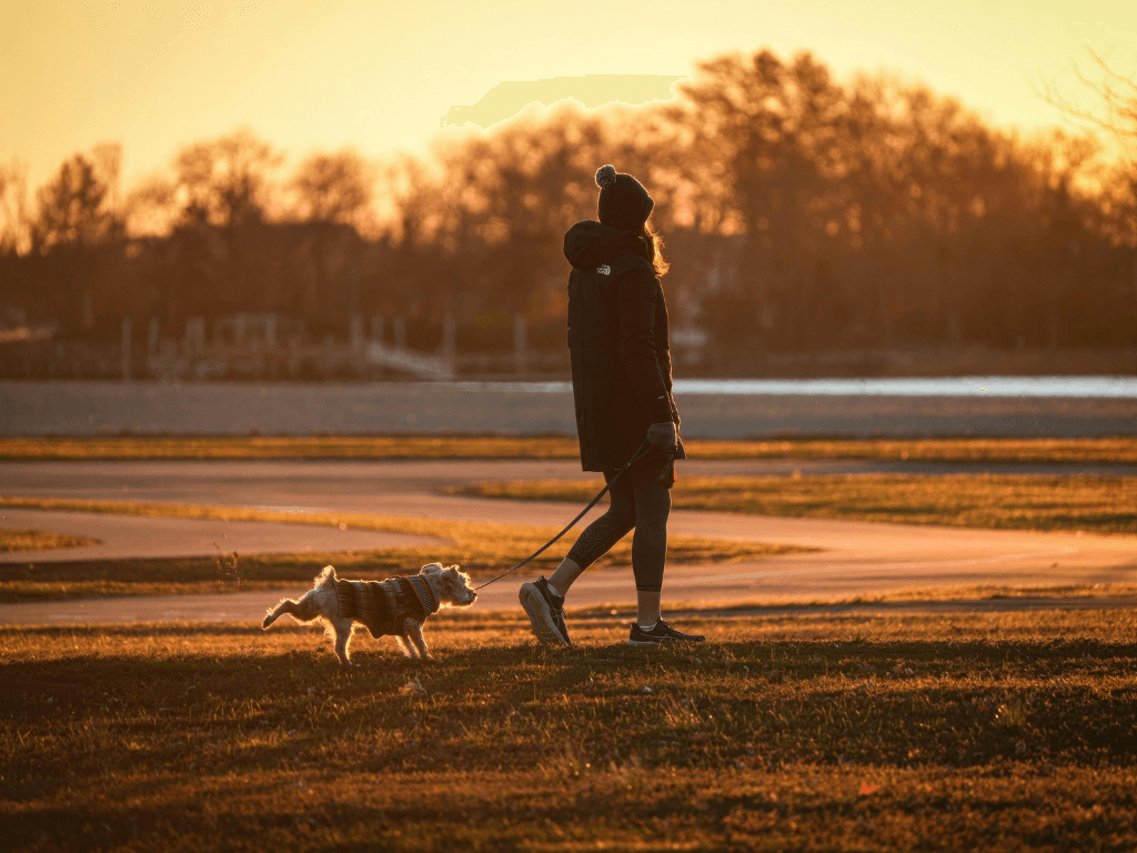 Koiran nimiä: suosittuja, erikoisia ja kauniita nimiä uudelle koiralle