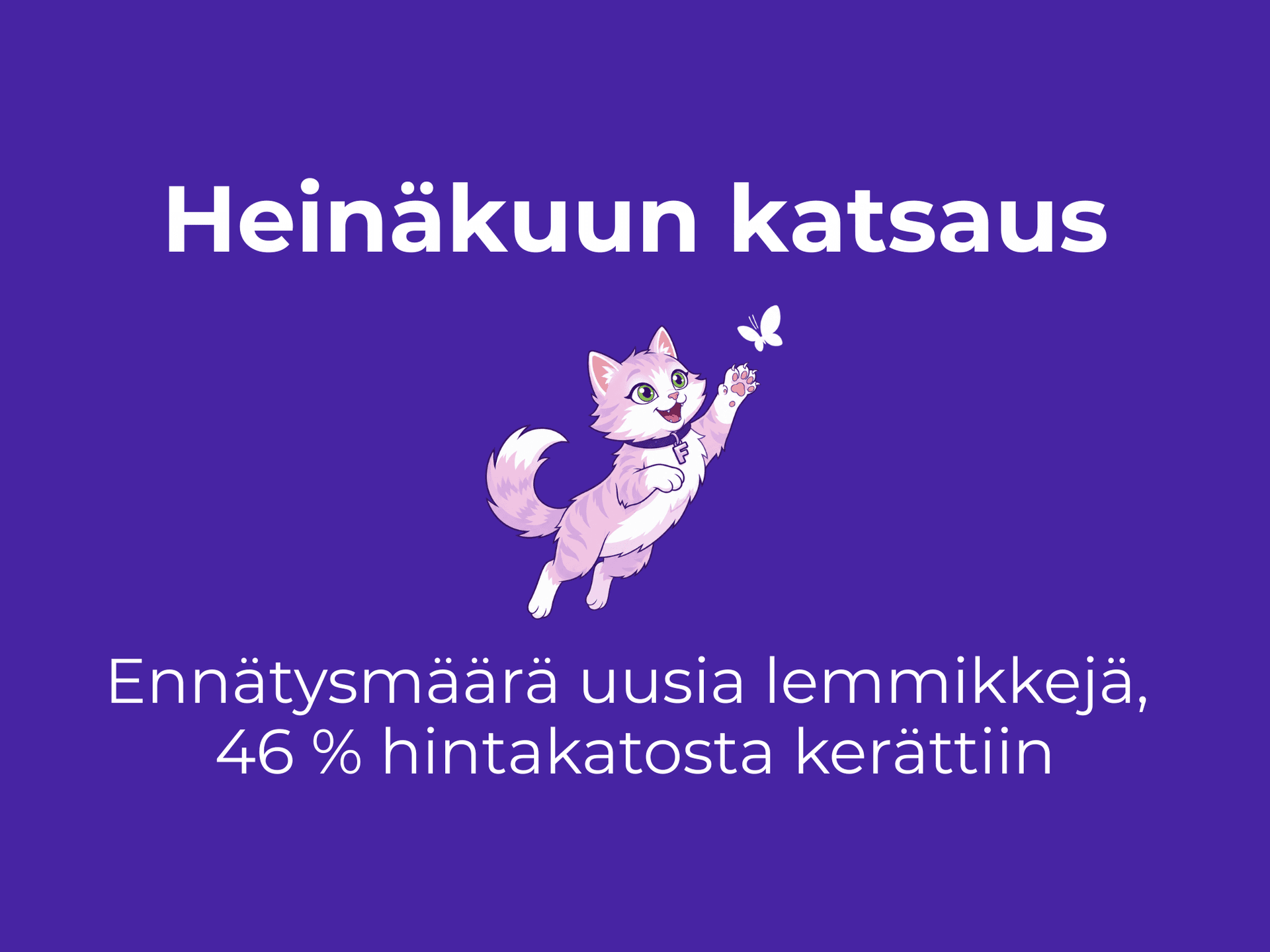 Heinäkuu Furrossa: ennätysmäärä uusia lemmikkejä – jäseniltä kerättiin 46 % hintakatosta