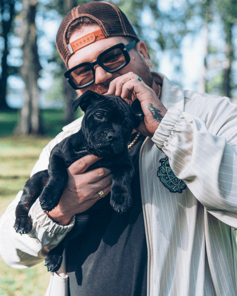 Ville Halmetoja, Koirien koulutusohjaaja