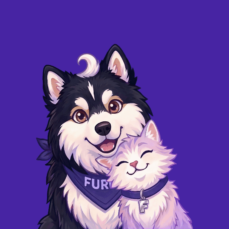 Ota yhteyttä Furroon